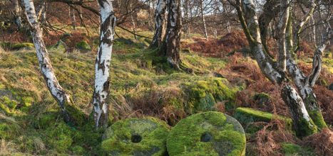 Bolehill Stones