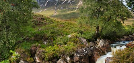Buachaille Etive Mor