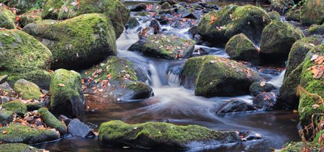 Burbage Brook