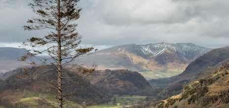 View down St Johns in the Vale